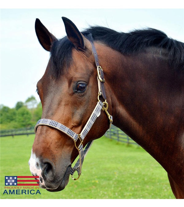 5/A Baker Breakaway halter with leather crown