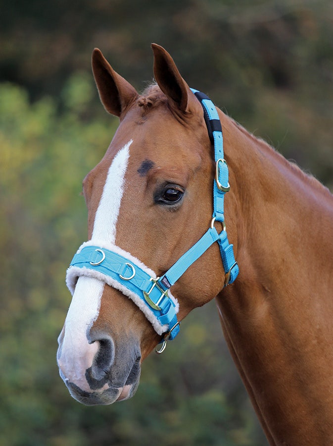 Nylon Lunging Caveson pony size