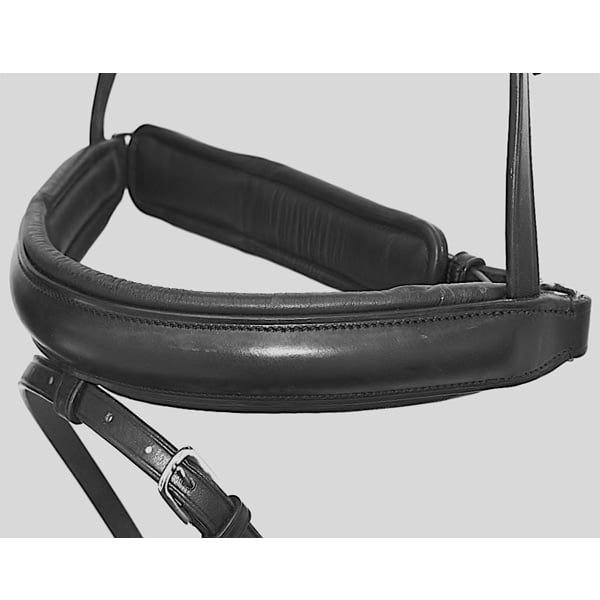 Raised Padded Crank Noseband with Flash Bobby's Tack