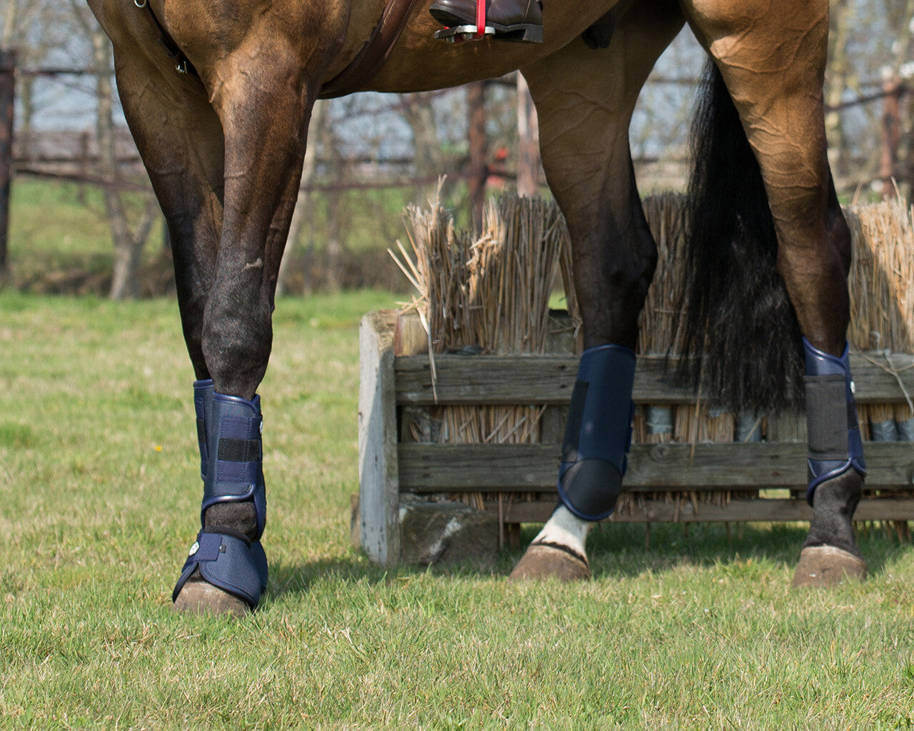 Technical Eventing boots QHP Navy