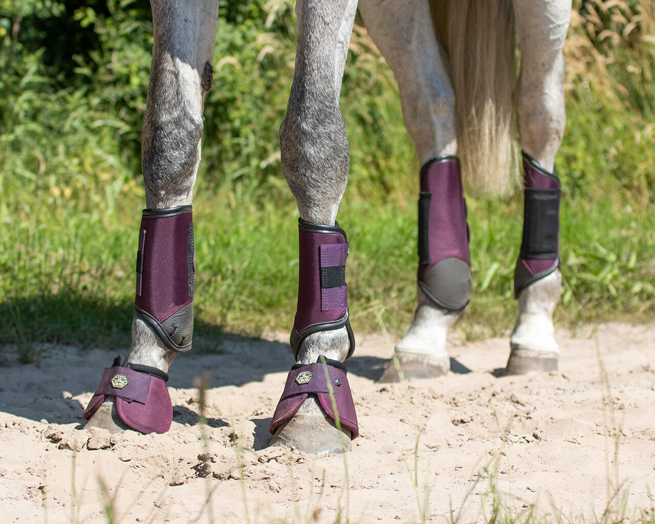 Technical Eventing boots QHP Purple