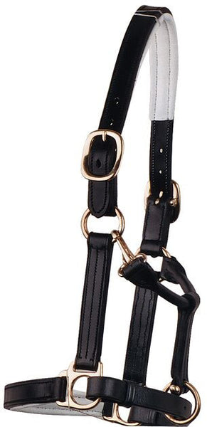 Bobby's Tack Leather Halter Cob size