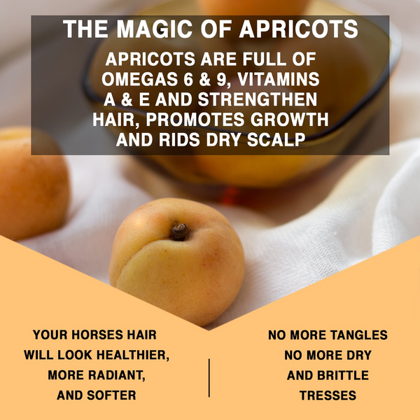 Knotty Horse Apricot Detangling Treatment