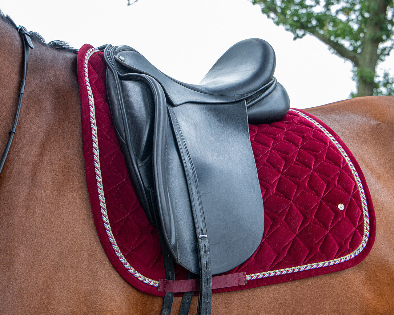 Saddle Pad Orlando QHP pony size