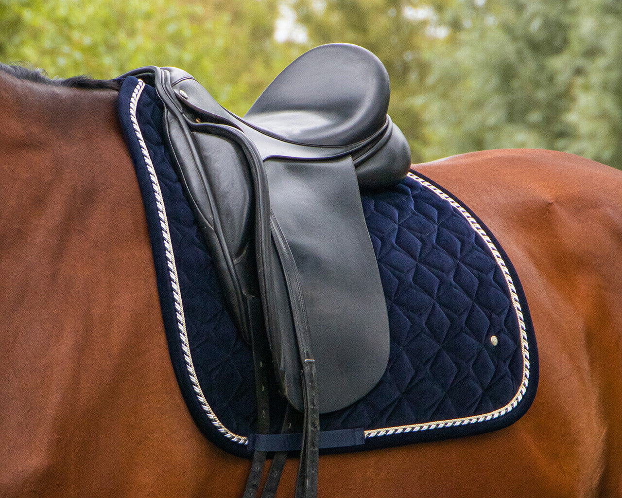 Saddle Pad Orlando QHP pony size