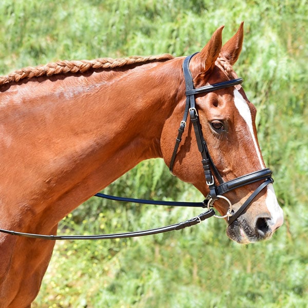 Raised Padded Bridle Bobby's Tack