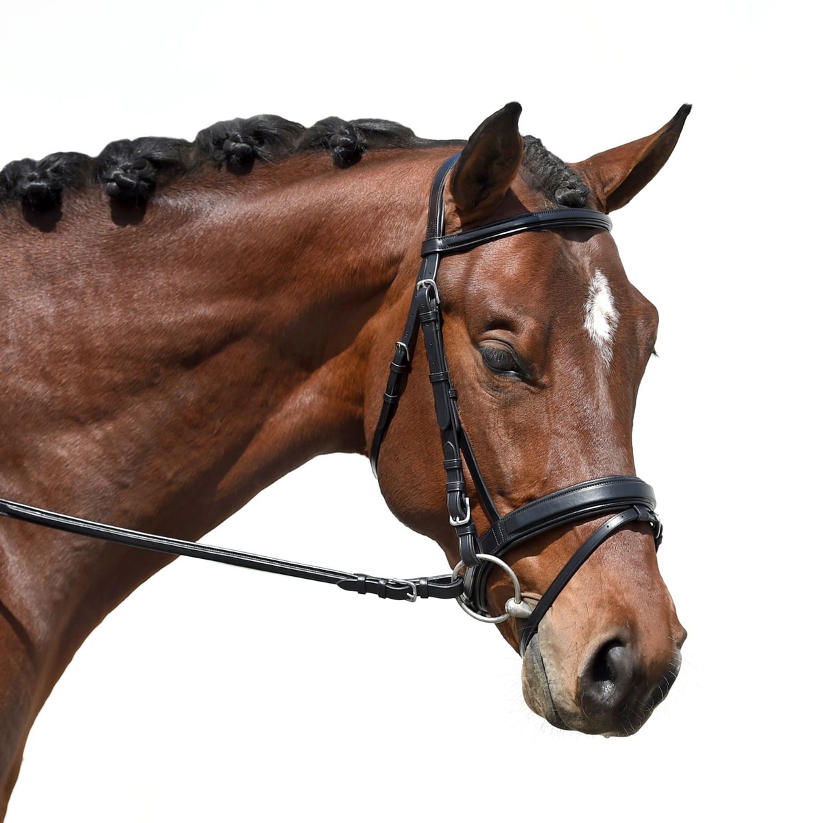 Monocrown snaffle bridle cob size