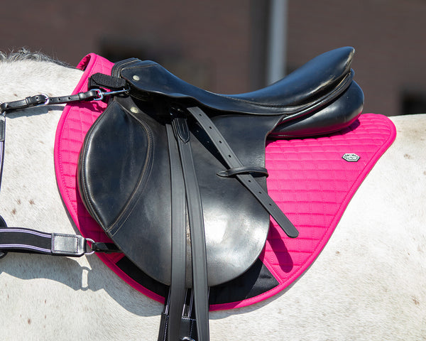 Stirrup Leathers Synthetic  Brands of Q