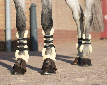 Fetlock Boots Ontario by QHP