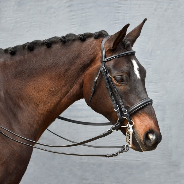 Padded Weymouth Dressage Bridle  Bobby's Tack