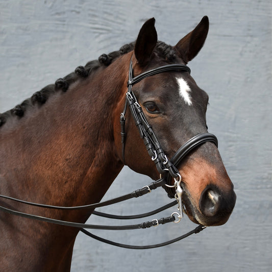 Padded Weymouth Dressage Bridle  Bobby's Tack